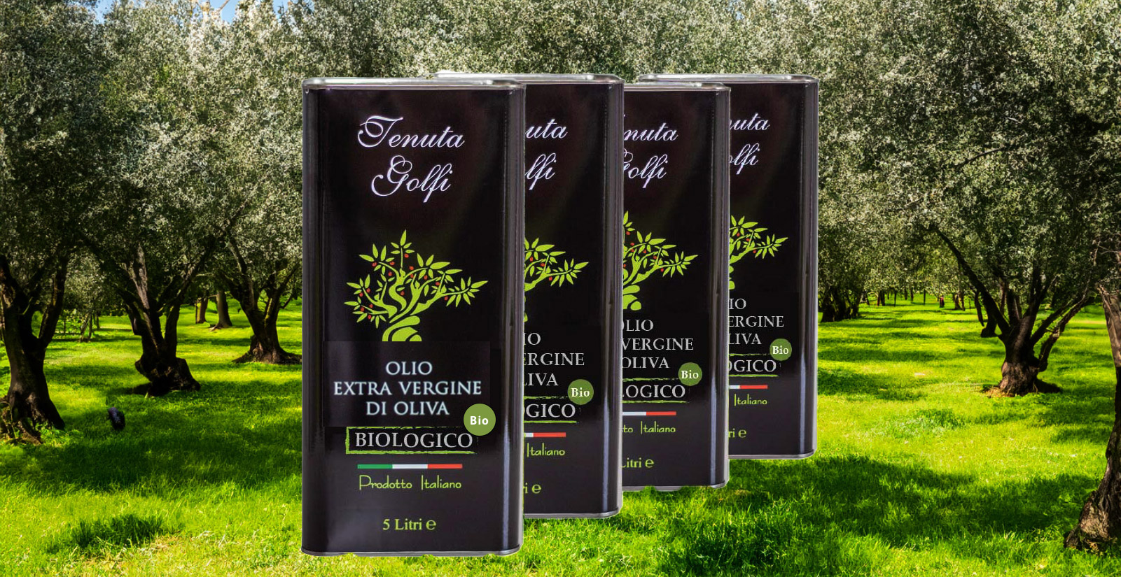 olio extravergine biologico 100%